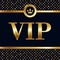 VIP (21+ Only)